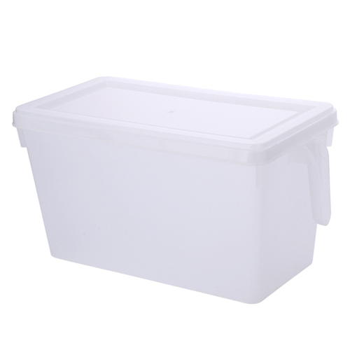 Injection Plastic Fresh-Keeping Box For Home Use